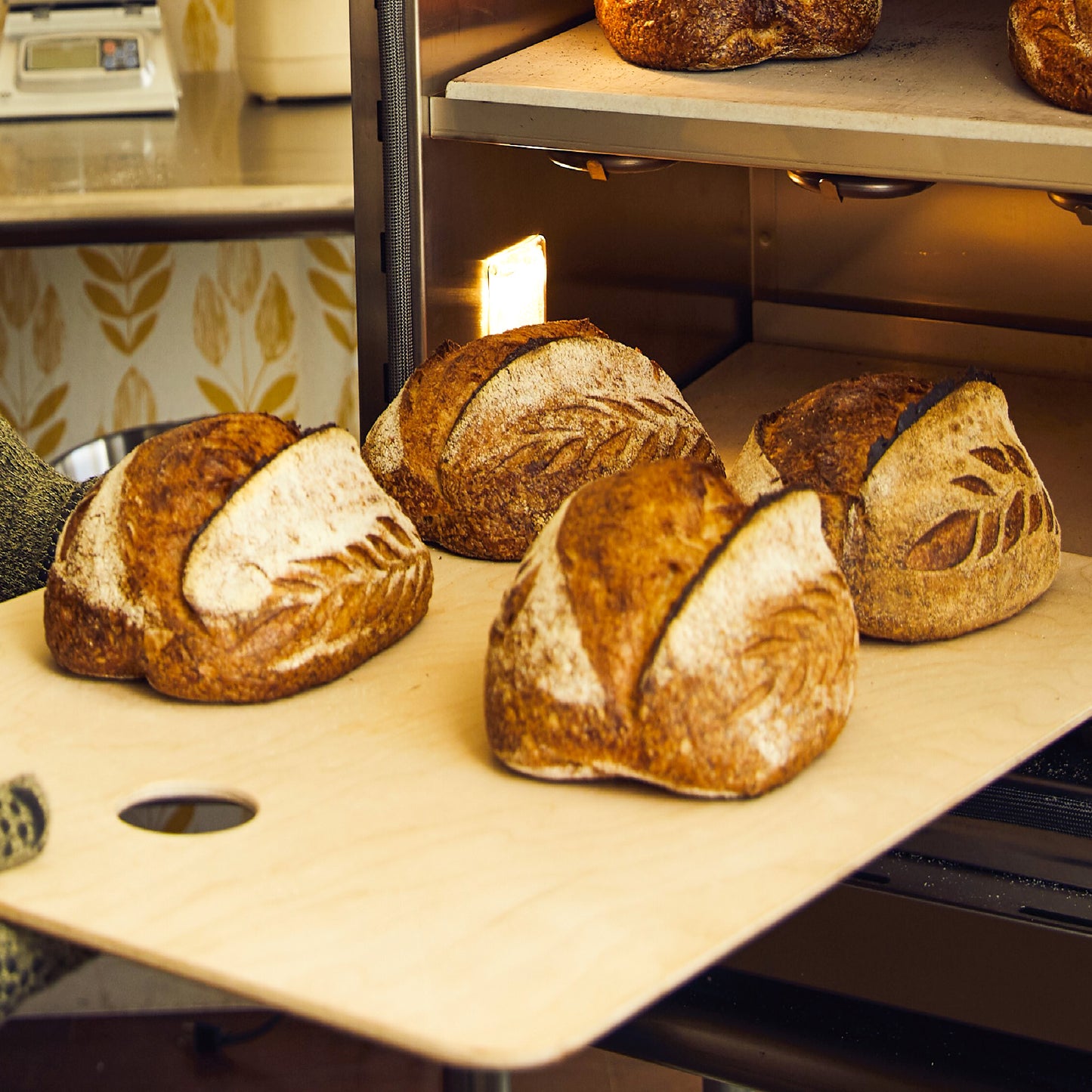 Loading Boards (Set of 3)